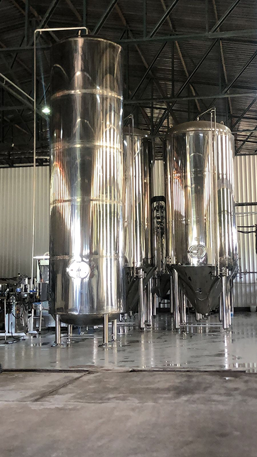 WhatsApp Image 2022-10-17 at 11.21.46